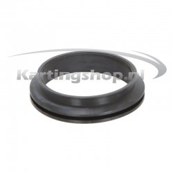 RR Inlaatrubber para el Extranjero, el Filtro de aire de noviembre. 60 cc de un