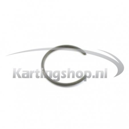 TM, GM-R1 Pistonpen clip