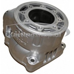 TM, KZ-R1 er den Cylinder