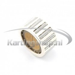 TM KZ-R1 (Big-end gabbia 22