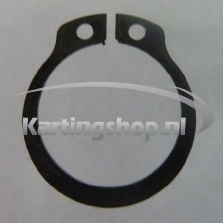 TM KZ-R1 Springveer versnell. As 20