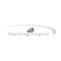 TM, KZ-R1 is a Ring-M6 x 12 | Kart Racing