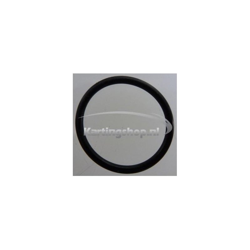 TM KZ-R1 O-ring