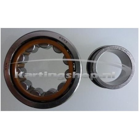 TM, KZ-R1, e roller Rolamento BC1-3022