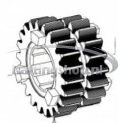 TM, KZ-R1, and the Primary gear wheel 18-22, 3rd/4th gear – Kart 
