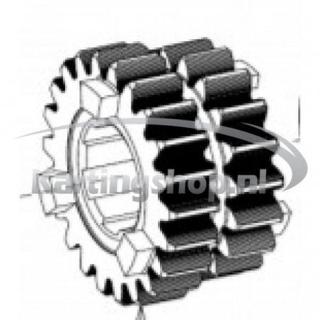 TM, KZ-R1, and the Primary gear wheel 18-22 | Kart Racing