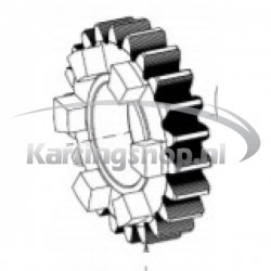 TM, KZ-R1, and the Primary gear wheel 22 of the 5th gear – Kart R