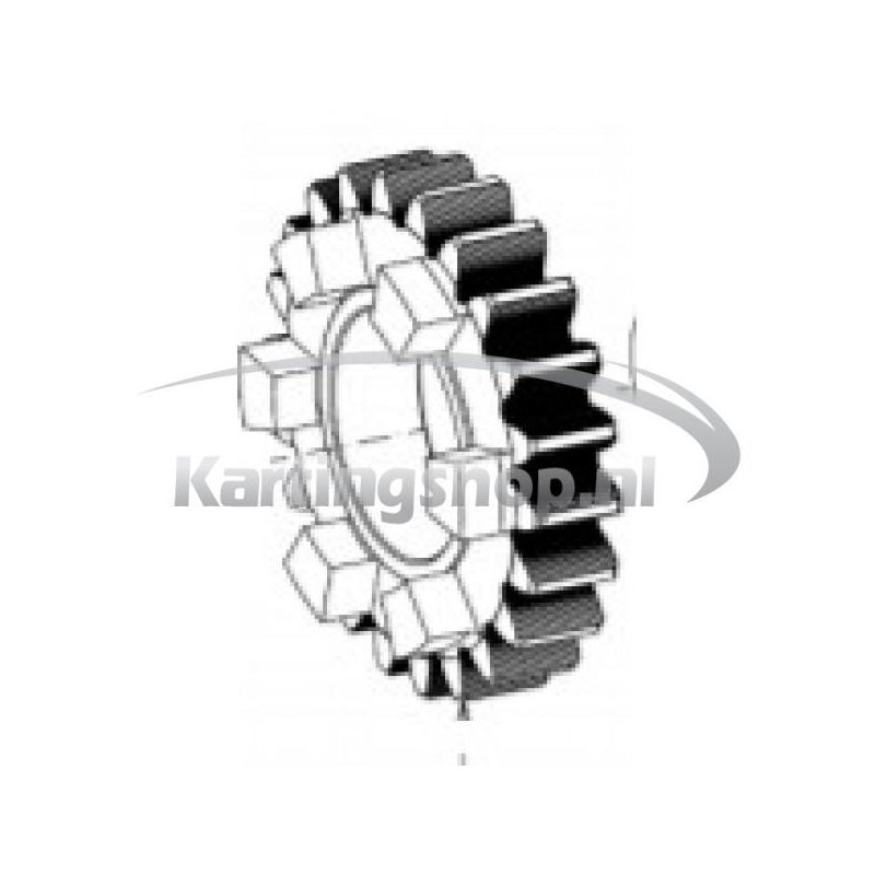 TM, KZ-R1, et the Primary gear wheel 22 of t | Karting