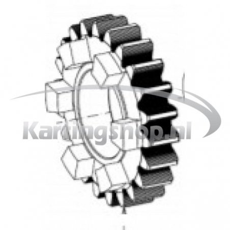 TM, KZ-R1, et the Primary gear wheel 22 of t | Karting