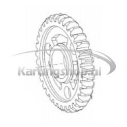 TM, KZ-R1 med Andet Gear 33 1st gear