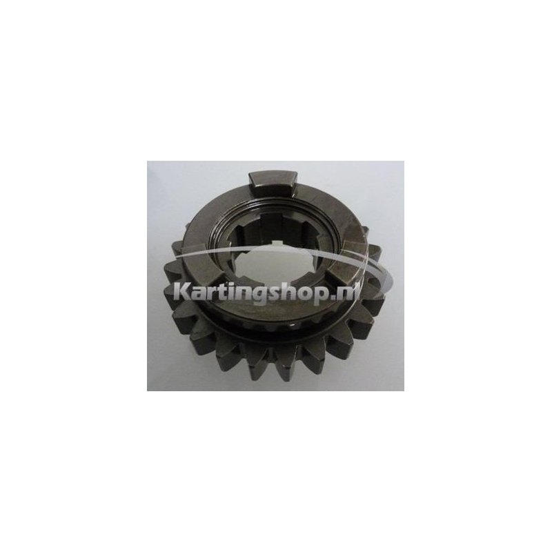 TM KZ-R1 Secondaire Tandwiel 23 5e versnelling