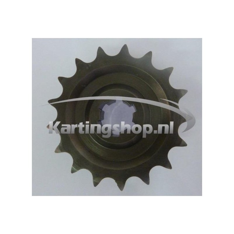 TM KZ-R1, und das Getriebe 18 und