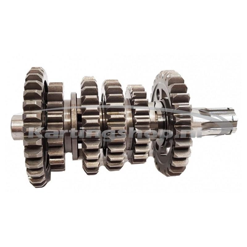 TM, KZ-R1, e o eixo Secundário, completa