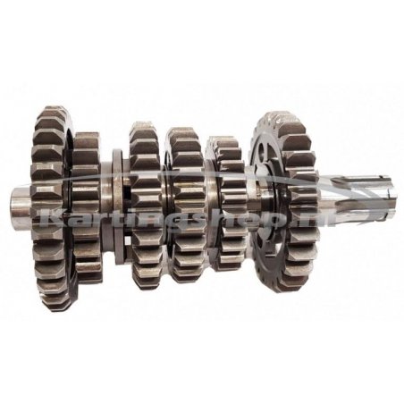 TM, KZ-R1, e o eixo Secundário, completa