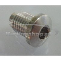 TM, KZ-R1, ja a Drain plug in the gearbox