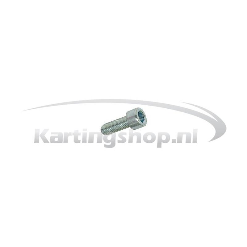 TM, KZ-R1 Screw, 6 x 20 mm