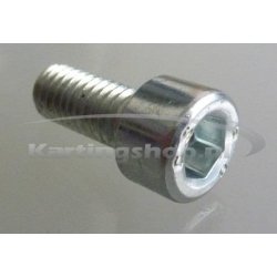 TM, KZ-R1 chave allen, 6 x 16 mm