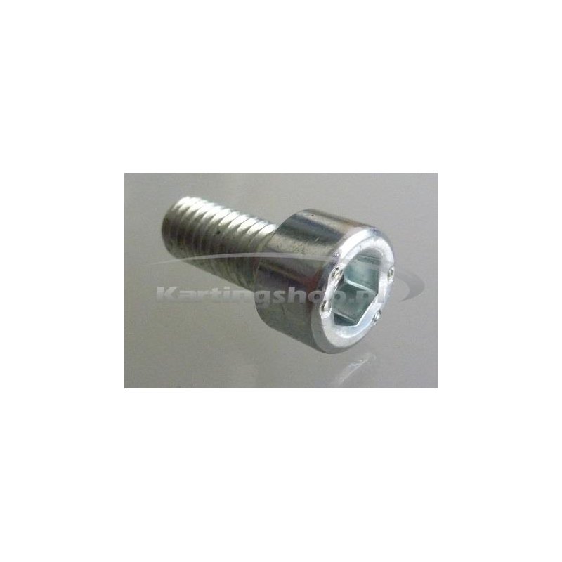 TM, KZ-R1 allen key, 6 x 16 mm