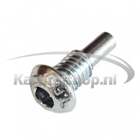 TM KZ-R1, M6-Schraube