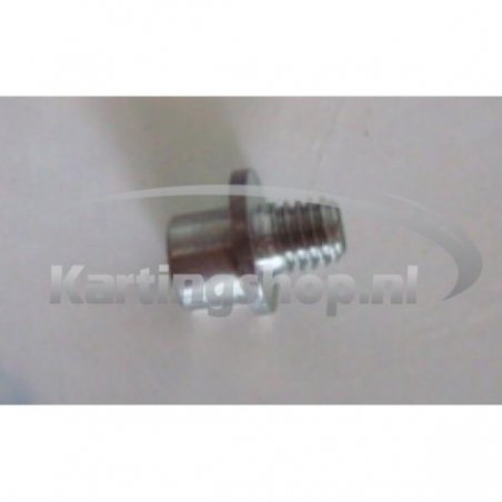 TM, KZ-R1, and-Bolt spring, gear lever | Kart Racing