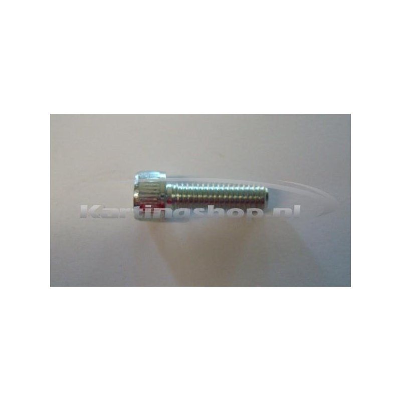 TM, KZ-R1 Screw, 6 x 20 mm