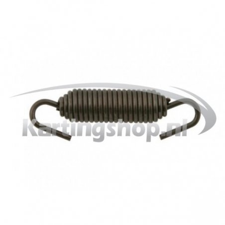TM KZ-R1 Exhaust spring