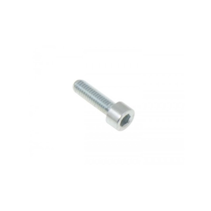 TM, KZ-R1 Screw 8 x 25 mm