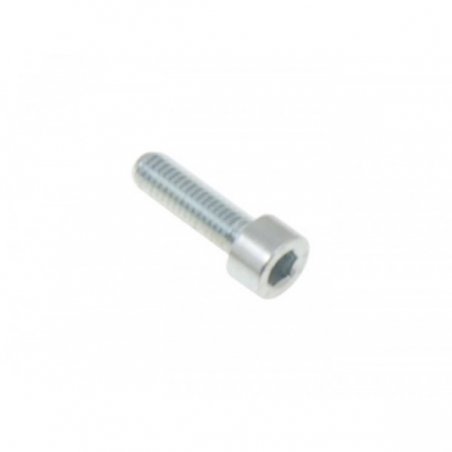 TM, KZ-R1 Screw 8 x 25 mm