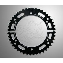 Gear 428 Ø116 Pretoine