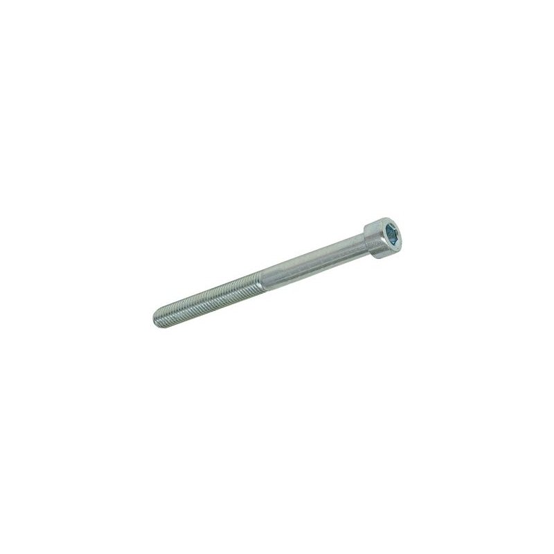Allen Schraube M5x55 für securing Bremsbeläge VEN05-11