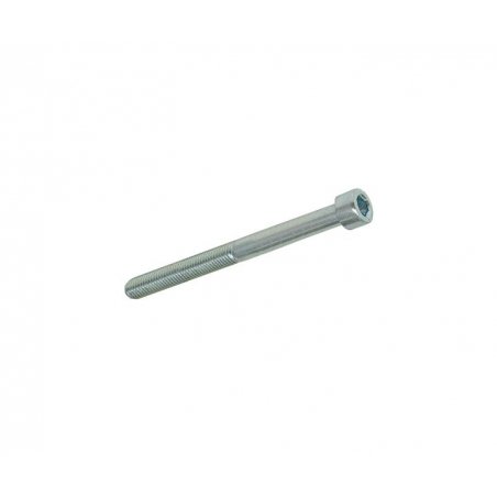 Allen Schraube M5x55 für securing Bremsbeläge VEN05-11
