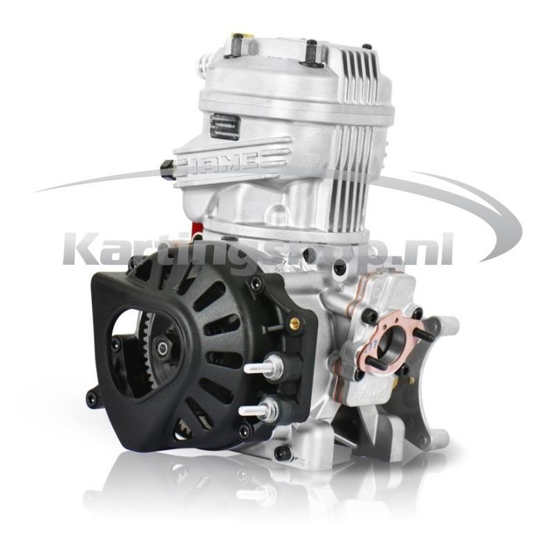 Motore Iame Parilla X-30 125cc RL Tag set completo