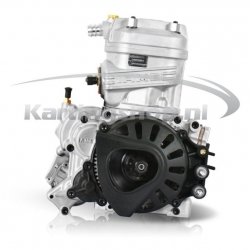 Iame Parilla X-30 125cc RL Tag motor set compleet 