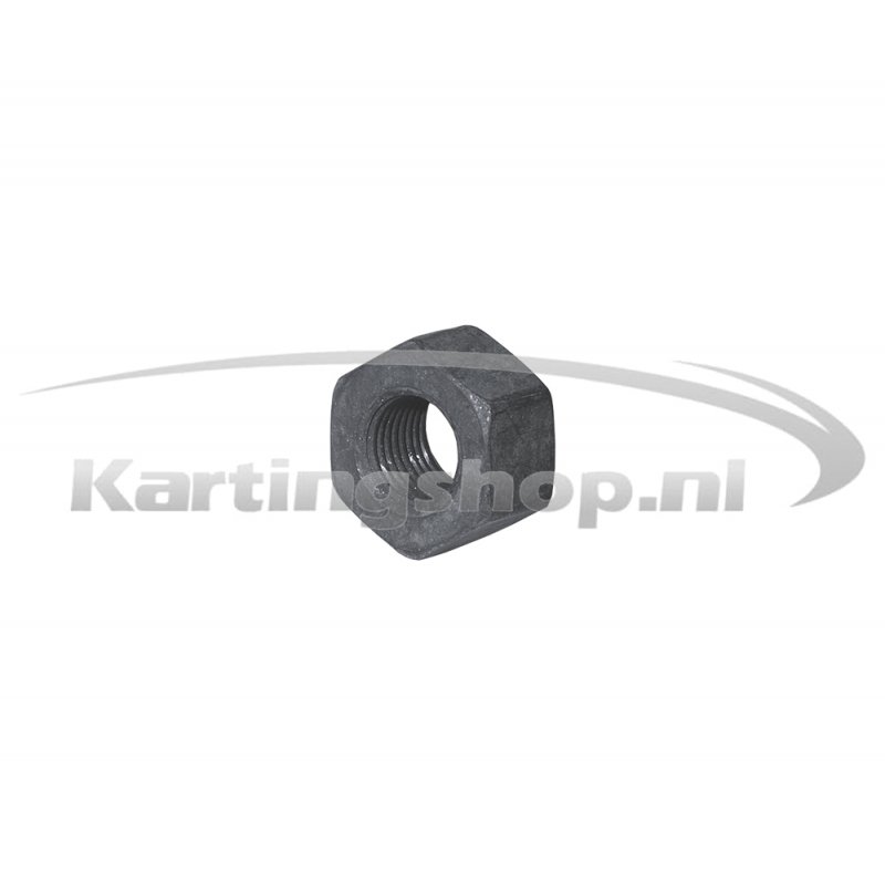 Iame X30 Mutter für flywheel M10