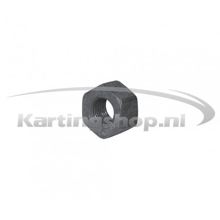 Iame X30 Mutter für flywheel M10