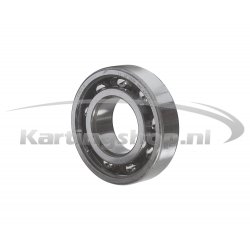Iame X30 Crankshaft Rolamento SKF 6206-C4
