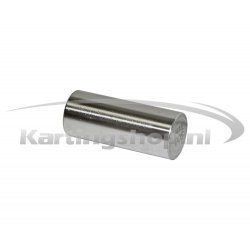 Iame X30 Big-end pen 20x48.8