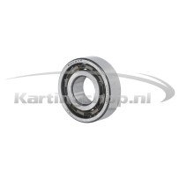 Iame X30 Lager Ausgleichswelle X30 6202 TN9/C4H