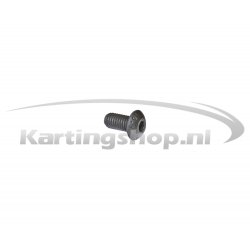 Iame X30 Hexagon Socket Bolt M5×10mm