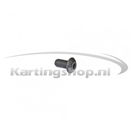 Iame X30 Hexagon Socket Schraube M5×10mm