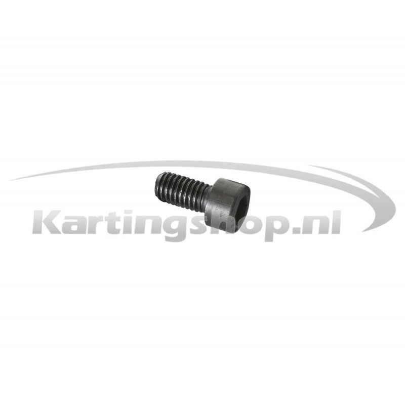 Iame X30 Hexagon socket bolt M6×16mm