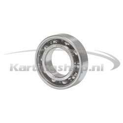 Iame X30 Abdeckung gasket
