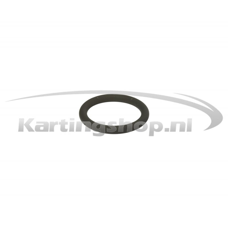 Iame X30 O-Ring til Balance Shaft Tandhjul