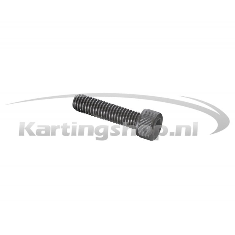 Iame X30 Hexagon socket bolt M6×25mm