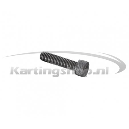 Iame X30 Hexagon socket bolt M6×25mm
