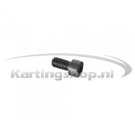 Iame Mini Swift 60cc allen bolt M6×12mm