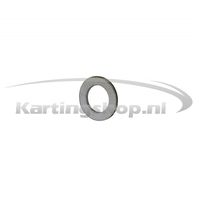 Iame Mini Swift 60cc Ring para flywheel M10
