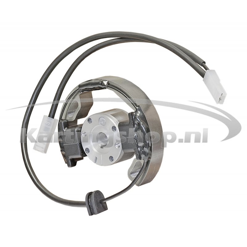 Iame Mini Swift 60cc Ignition Selettra