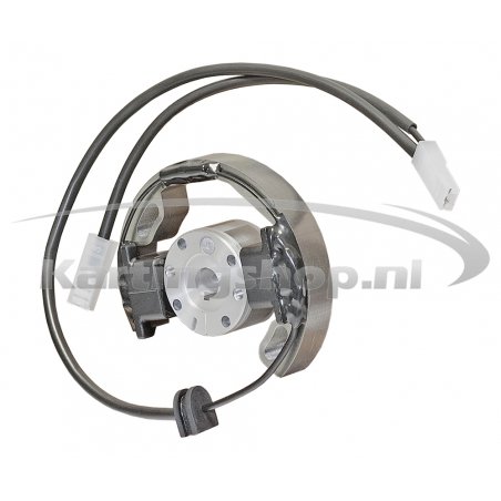 Iame Mini Swift 60cc Ignition Selettra