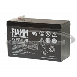 Iame Mini Swift 60cc Battery